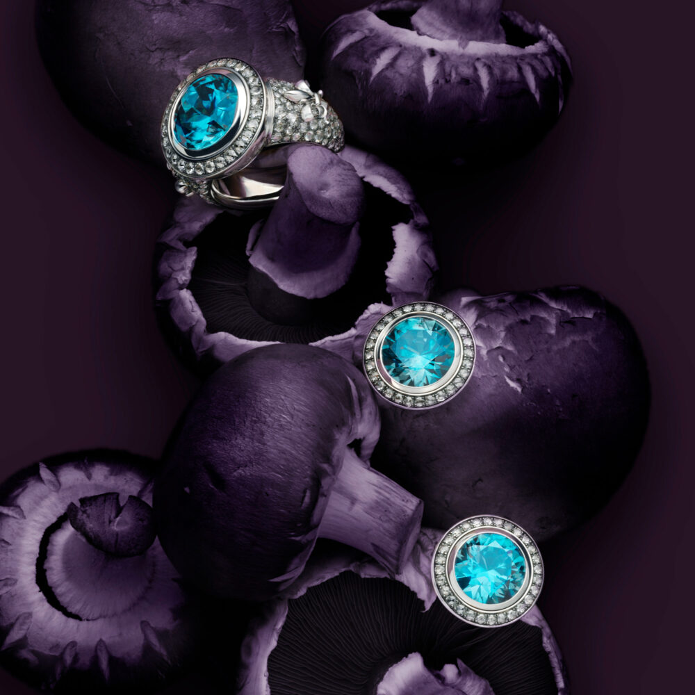 Meister 1881 Collection_Zirkon