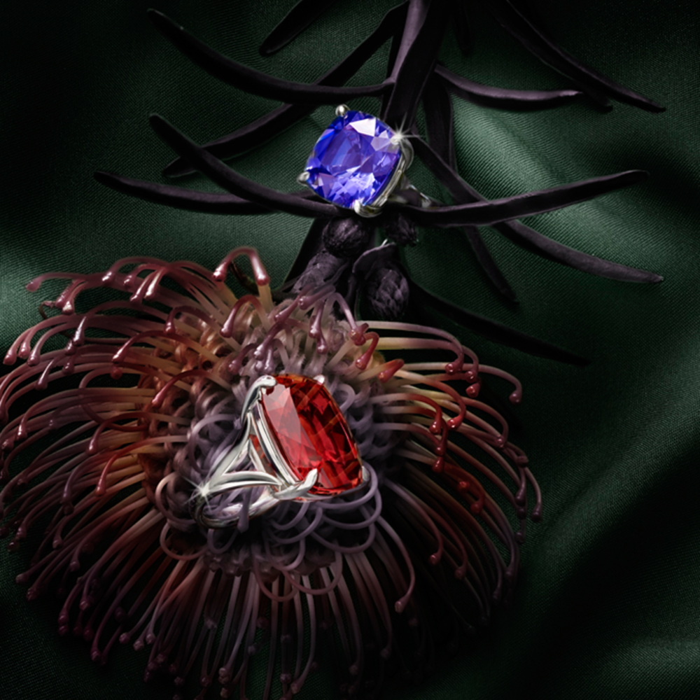 Meister 1881 Collection Ringe